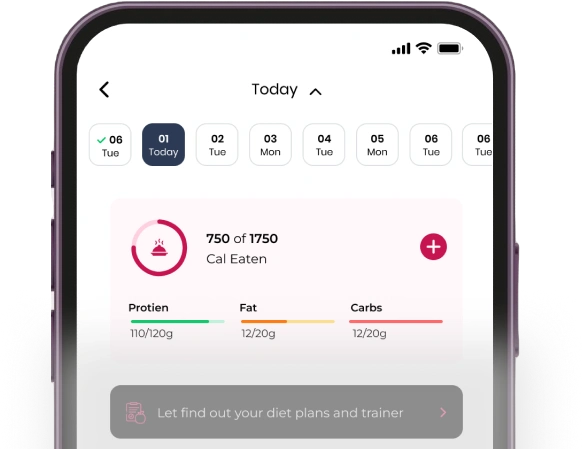 Fitness Dashboard